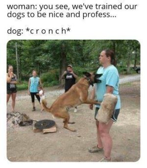 D3671223-C987-42BE-BCC8-BF0A4A2D3C4E.jpeg
