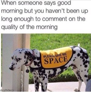 C56A269C-0A3B-48AB-A198-791C50AA6C58.jpeg