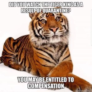 91E1700E-E079-438D-84B4-79D21D02EF9D.jpeg