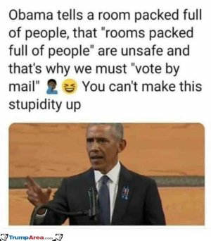 B26E12F1-C62D-4D01-83D8-57EA523049C7.jpeg