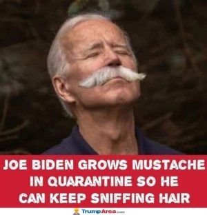 276AF371-207D-43AD-B9C7-8B0F6255AF49.jpeg