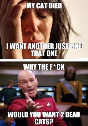 2C1D6C0E-1F86-4F10-B02B-08F8ED456411.jpeg