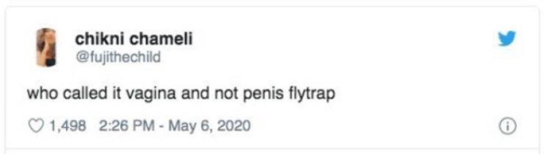 0AE4557A-098A-4458-A8ED-D3E6C346ECD3.jpeg