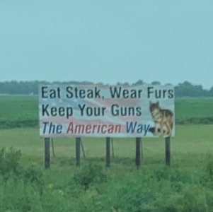 A287C93F-F326-4D1E-BFB4-871F5D601C4E.jpeg