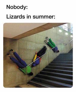 E2347514-A177-41CB-B025-3EE7F5424452.jpeg