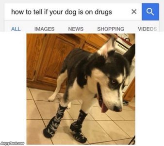 06E38F95-D66F-409B-A79C-D2EA81E79E47.jpeg