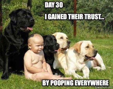 9C1141B7-A8A7-44BD-AADD-A59411659B37.jpeg