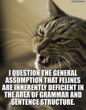 0A5E494D-4A66-4B55-A4E5-EF32B5D87ED9.jpeg