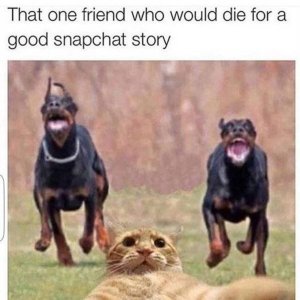 1A21C362-84FD-417E-B596-EEA7D3D06B06.jpeg