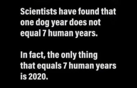CA838733-7896-4BC0-9DC1-1CBAAC1E33F9.jpeg