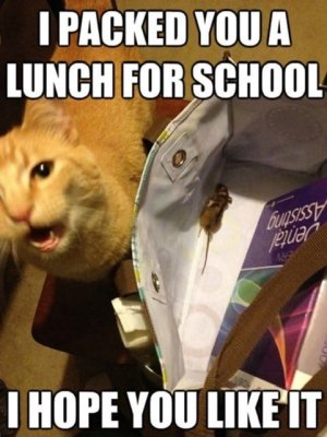 A9AE5733-1730-4AC3-9521-7D558D02651B.jpeg