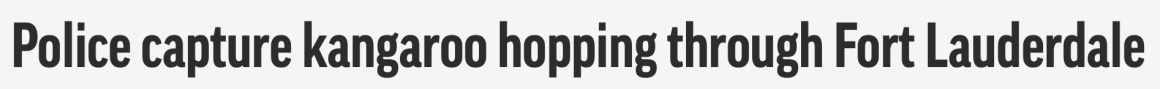 0800DC95-5650-4109-A30E-12BF93DBAD5F.png