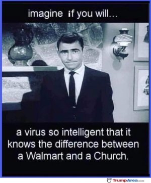 C906EE3B-1677-45EE-9A35-E3E97F537E8C.jpeg