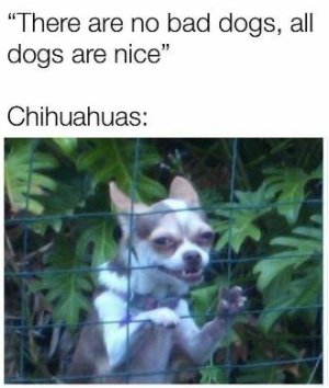 FC9C64D8-4AF4-45C3-BA6B-092EF4E09B17.jpeg