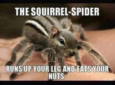 48A55178-83C7-46EC-895F-4BD6CDF7ED07.jpeg
