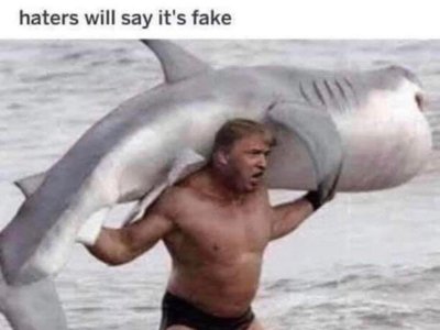C040CF37-BAB3-445B-9DF5-5DE3ECC6D3D8.jpeg