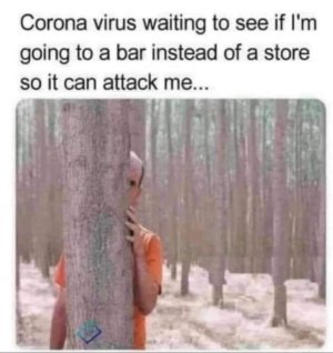 917B90DE-AD93-4079-B646-4ADA77CE2AE4.jpeg
