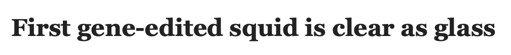 5D73A188-E202-474F-813F-8234C842794F.png