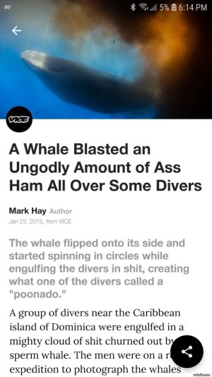 965A2098-9F8F-4D54-BFA3-E7862FA97F24.jpeg