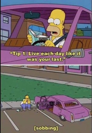 8EFF0C42-B628-4CA0-8098-8D88B9D9F4E3.jpeg