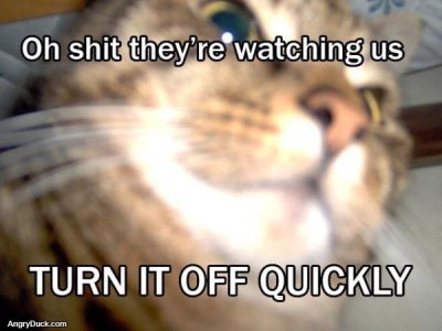 52727620-EAB8-421D-AA64-CDA3EB7C9C49.jpeg