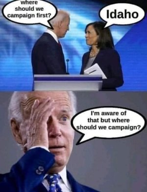 E6A2F2E6-4C97-4011-AACA-1D89A6FCE76B.jpeg
