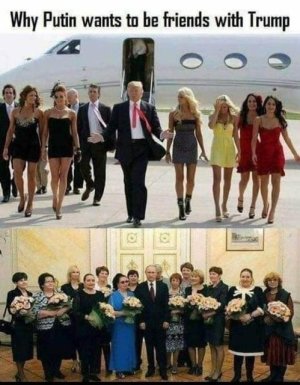 6D765AAB-90A8-43D2-8C2C-236FE6232518.jpeg