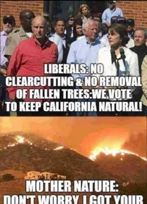 B0BE791D-069B-40F8-9406-37B633D8EC57.jpeg
