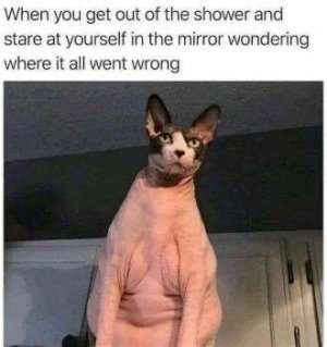 B7DB143B-F3C4-40F2-A331-EBFCDD2B4434.jpeg