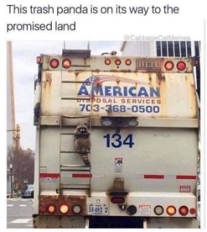 849DBA1A-3C2F-4B93-BF02-E2A9A3D10038.jpeg