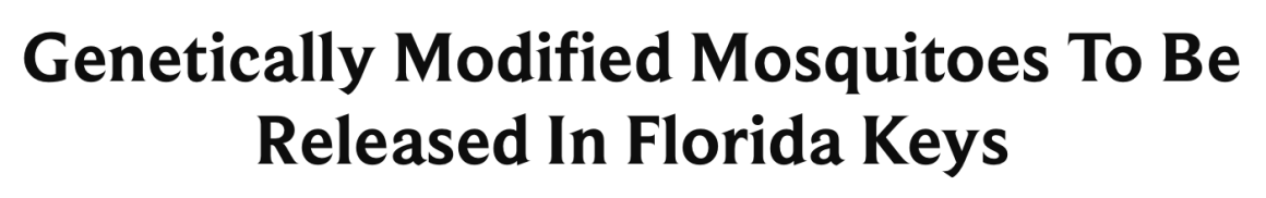 C404F74B-7CD8-4A5F-A9D0-98CC017B3B60.png