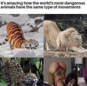 C37E5F01-C670-444A-8B49-993278A15278.jpeg
