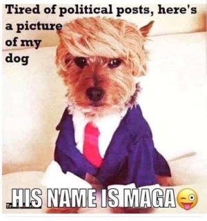 6ABC36B6-A57D-469A-B089-1754232109FC.jpeg