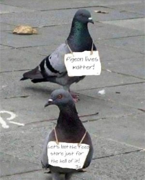 9C6898B0-16E5-448E-A4F3-A0655A44A8BA.jpeg