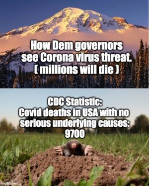 CA367199-15E4-4090-AD21-B052AB9BD786.jpeg