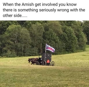 593F3E43-316E-43A5-99AD-BB484D4E8B67.jpeg