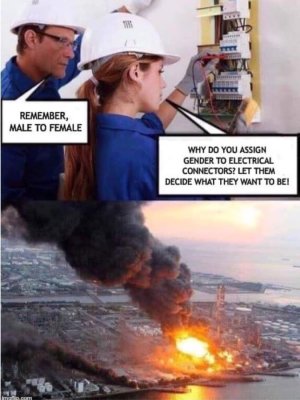 electrical_gender_meme-885360.jpg