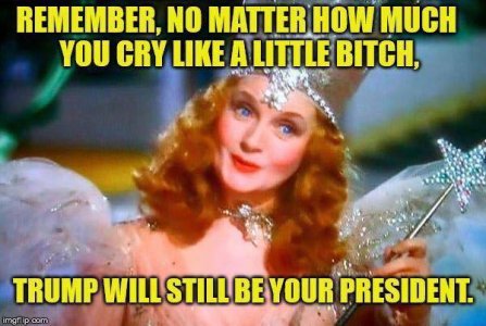LiveLeak-dot-com-trumpwillstillbeyourpresident_1553446859_jpg-888828.JPG
