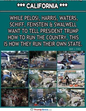 78299795-6696-4982-9442-05D254319B98.jpeg