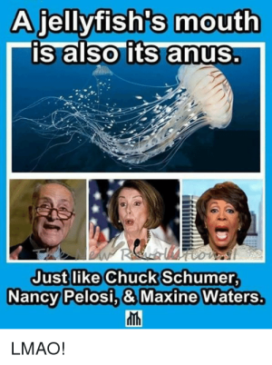 CCCF3445-421B-452B-A534-9CC04F334FB7.png