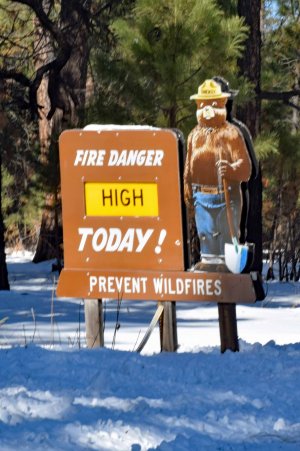 Flammable Snow-1.jpg