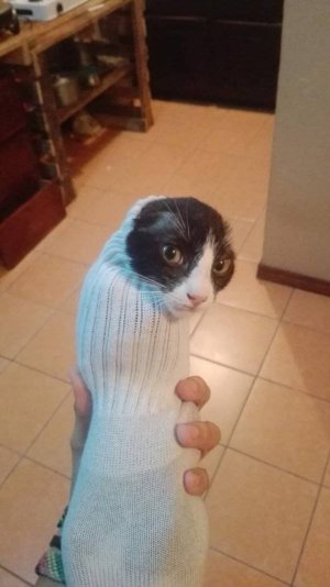 78D82F0B-4F75-45BF-BB83-578B5A6955AB.jpeg