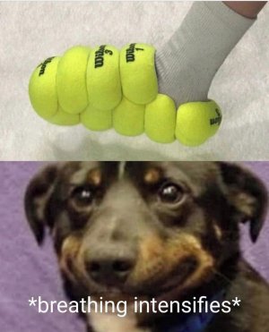 A4BDFB25-F9B3-4544-A452-267AE835B6C4.jpeg