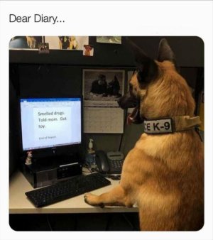 F9D85A7A-67B0-4F41-B8E0-926F9D3B1286.jpeg