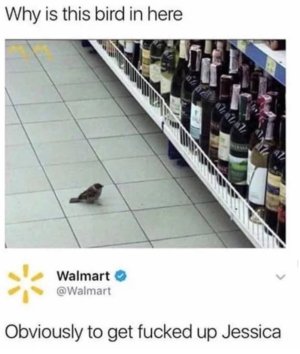 F8CADB8E-0BE1-4B20-85AD-BB8440D4AD7C.jpeg