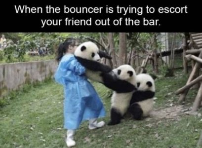 E374B7B9-2331-4908-9361-84E7CEA144BF.jpeg