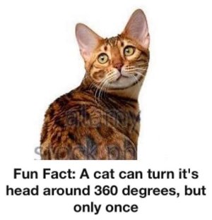 58FDC780-0B10-463F-AD7B-8300767F9568.jpeg
