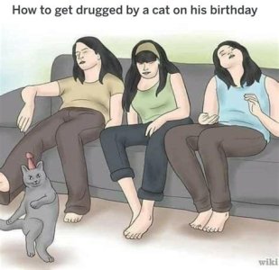 453EDD4D-43DE-4F7E-AE70-BCB0C84D6BCC.jpeg