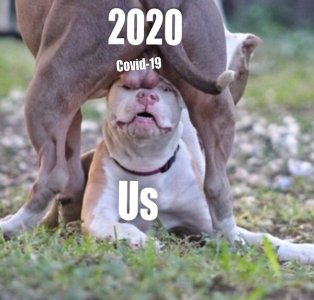 885131E1-82B8-4428-8B02-655F0F61ADF6.jpeg