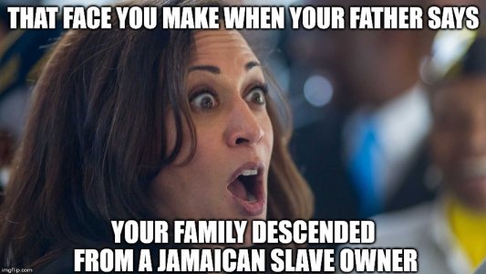 182AC0BC-6B22-4981-964E-BDCDE7E3F481.jpeg